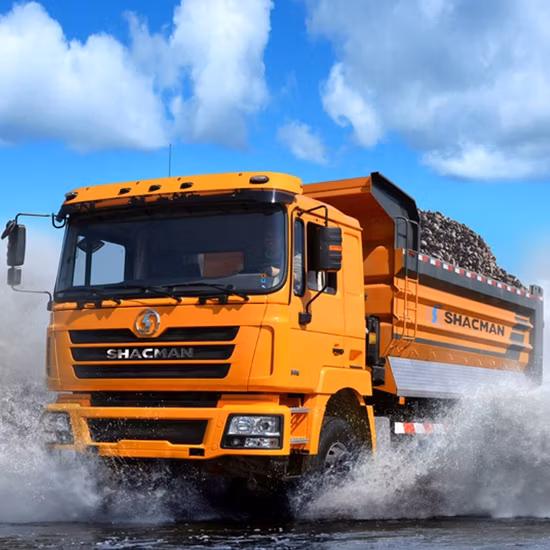 러시아 인증서 덤프 트럭 Sx3256dr384 트럭 Shacman